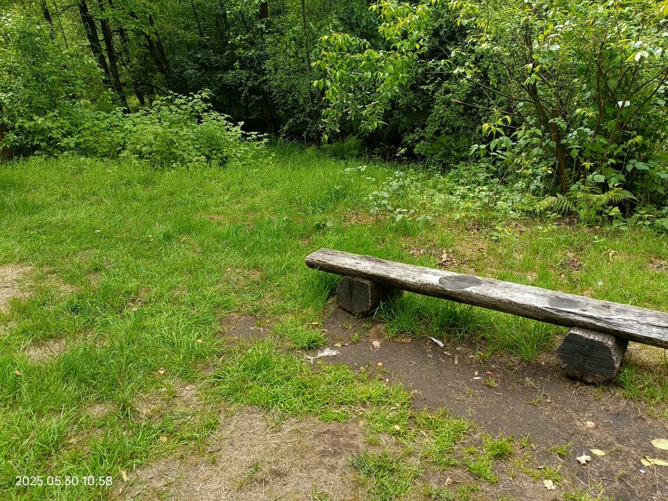 1000039051.jpg - Kamyk_82