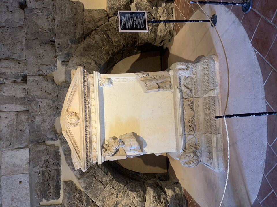 IMG_2723.jpeg - tom745