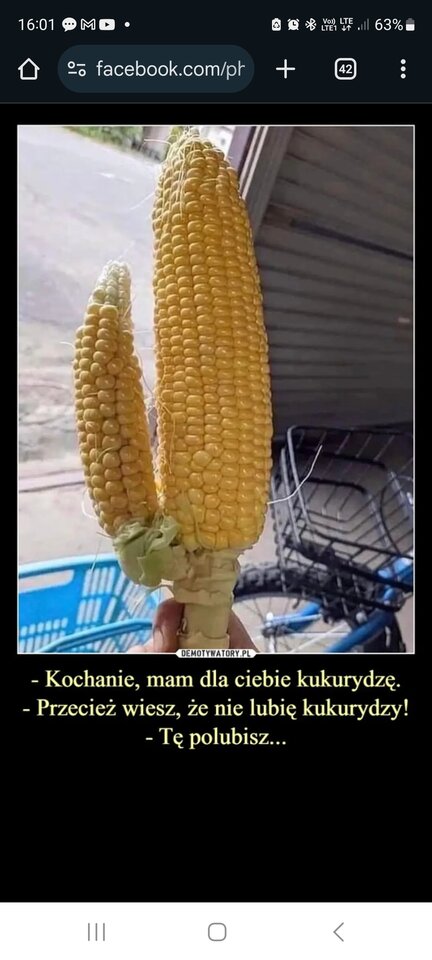 1000016898.jpg - Slodki_pieszczoch