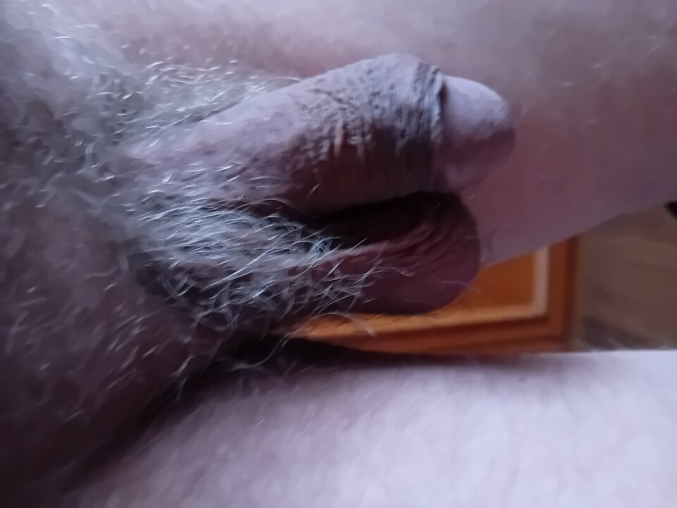 1000007578.jpg - brus13