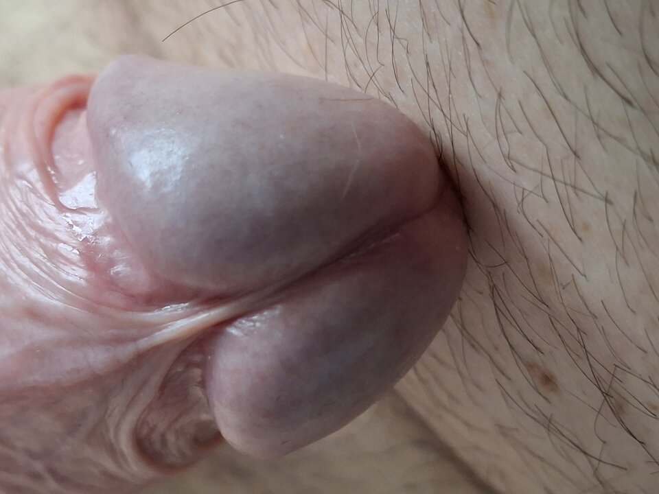 2025-05-3107.42.453983958121136270885.jpg - mar_nn40