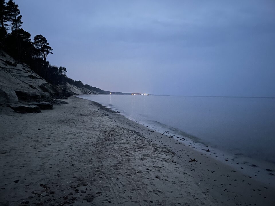 IMG_2179.jpeg - Rexhunt