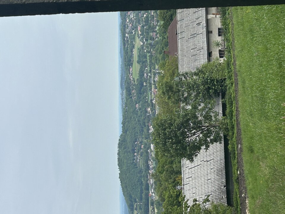 IMG_3245.jpeg - tom745