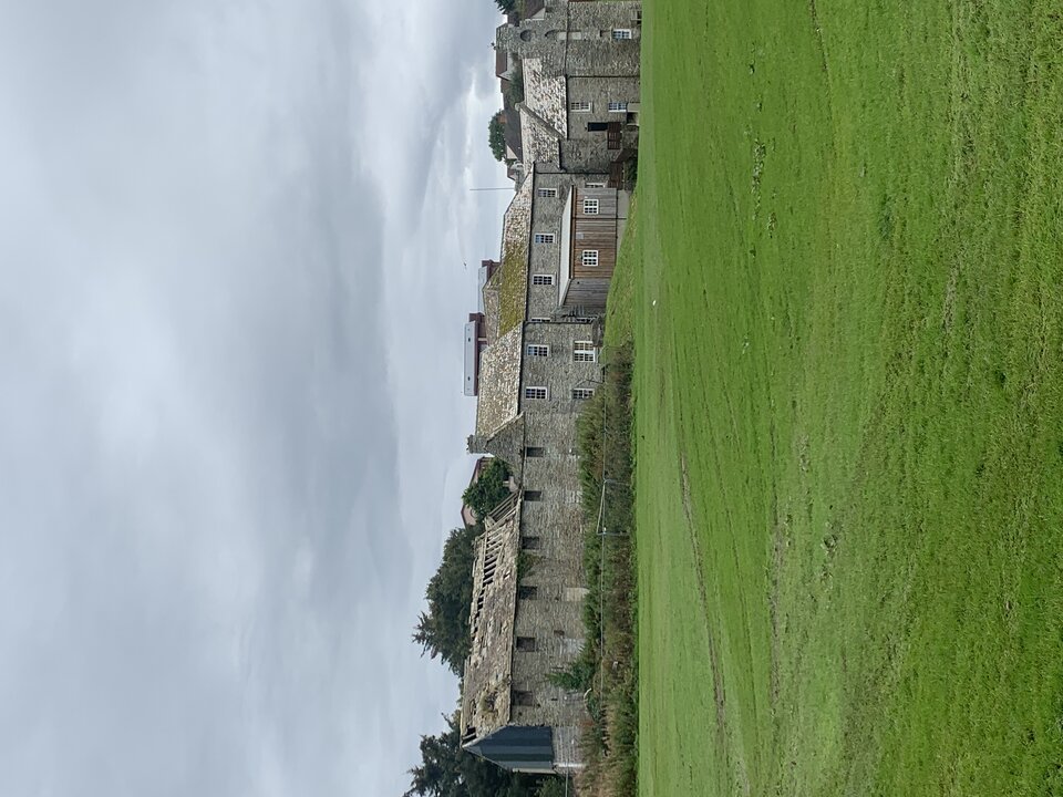 IMG_2368.jpeg - tom745