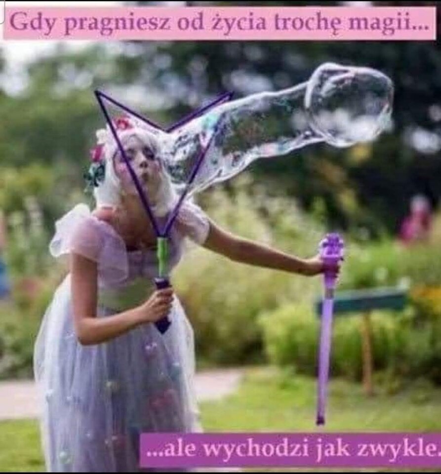 502457605_23941095665522746_2529615569964594415_n.jpg - Stuntmann