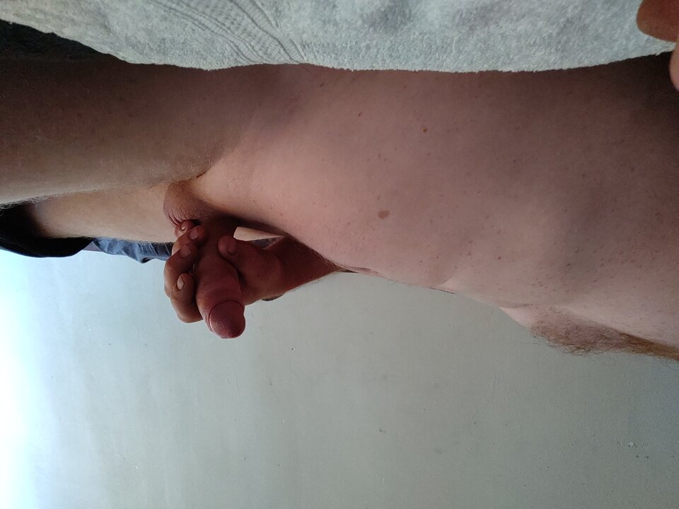 17486971230821222445871561476737.jpg - roligoo