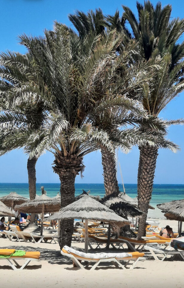 IMG_9980.jpg - Maxi_Real