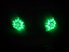 IMG_20250531_223051.jpg