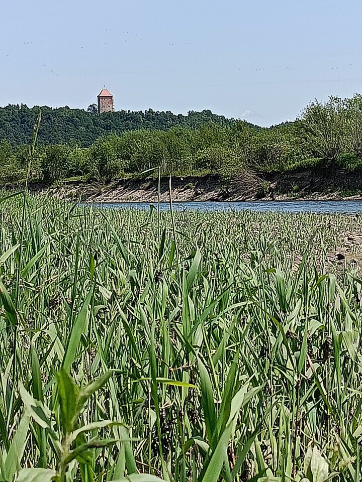 1000007362.jpg - 30894824