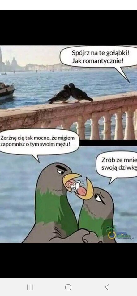 1000022068.jpg - Zwykly197