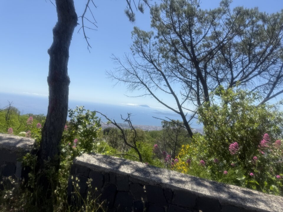 🇮🇹🪸 - serialowapara19782