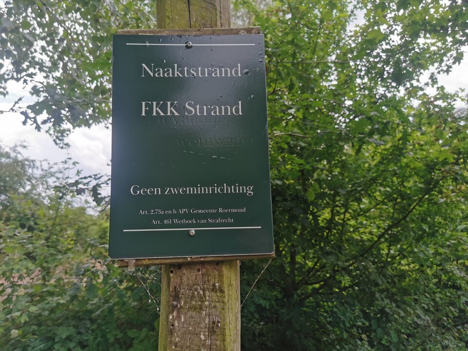 IMG_20250601_150152.jpg - Ricardo43