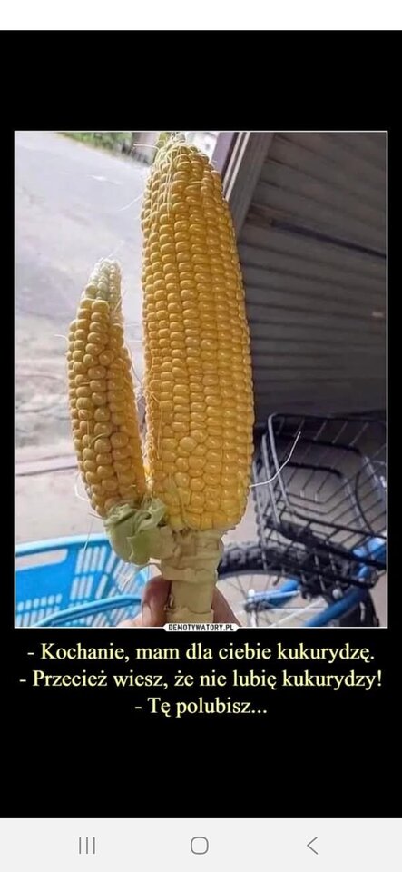 1000022070.jpg - Zwykly197