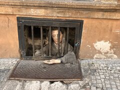 IMG_4779.jpeg
