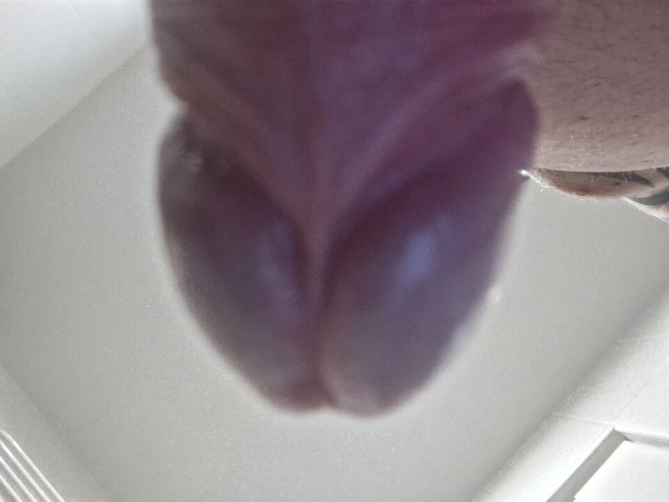 1000006626.jpg - mar_nn40