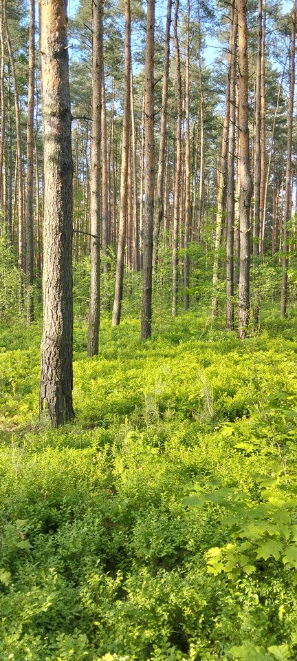 Ktoś chętny na plenerek ???? - lokacz123