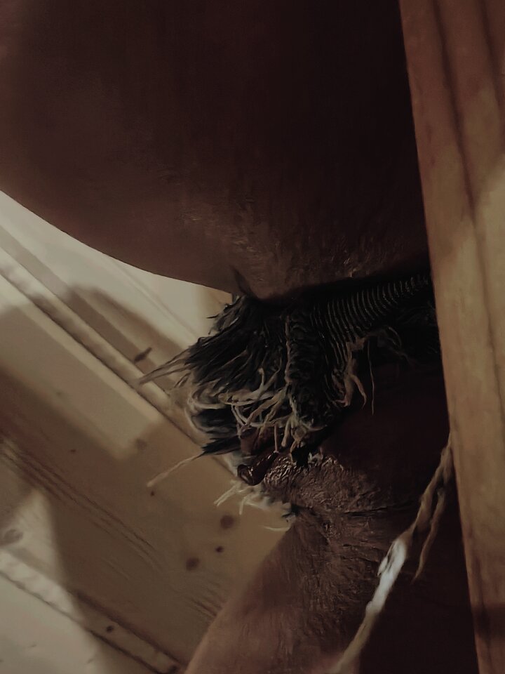 IMG_20250601_204250.jpg - Marriage_games