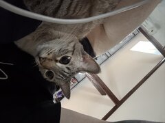 IMG_0041.jpeg