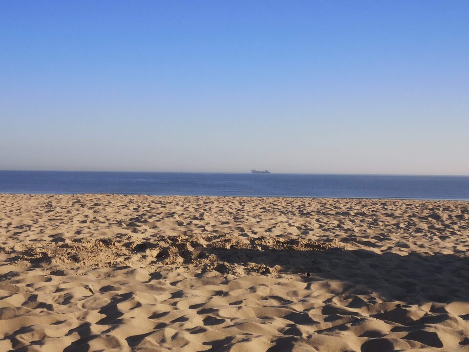 IMG_20210614_072101.jpg - Szukamm69