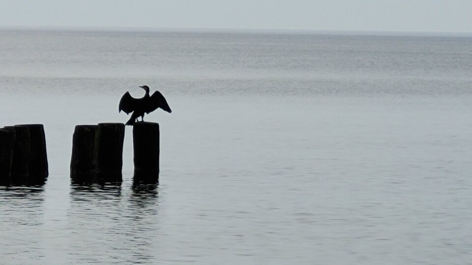 20250601_175745.jpg - olo_sl