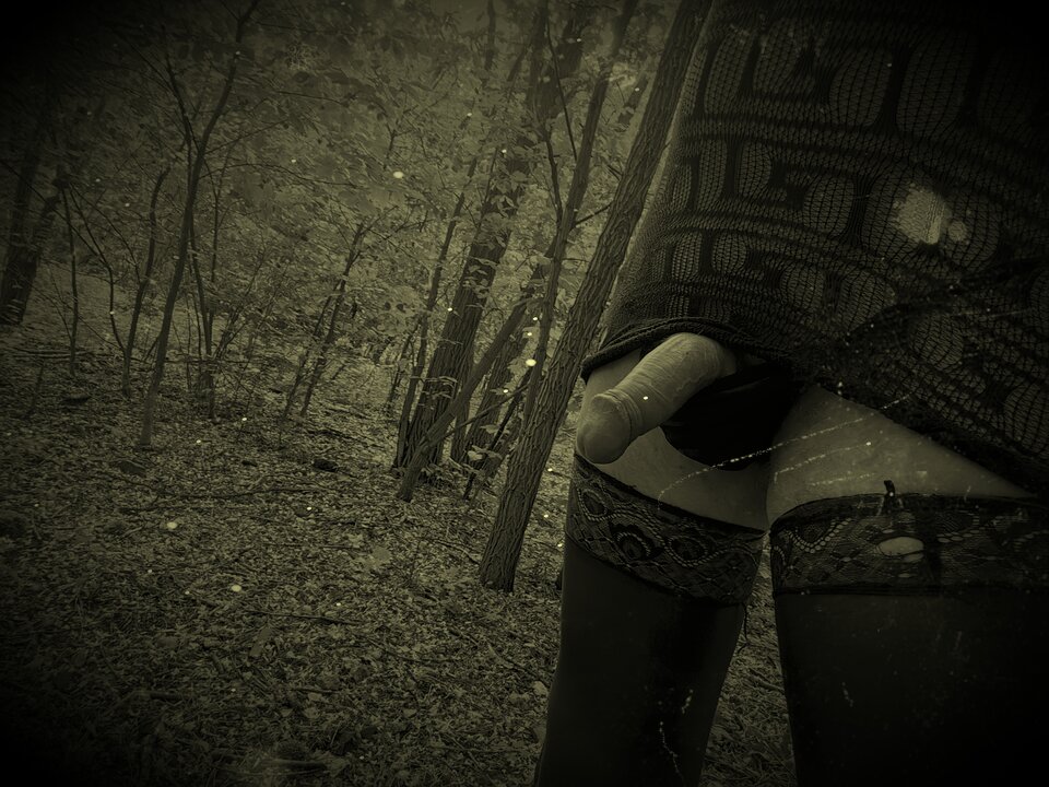 IMG_20250602_180006_edit_134536662425603.jpg - Bzykukato