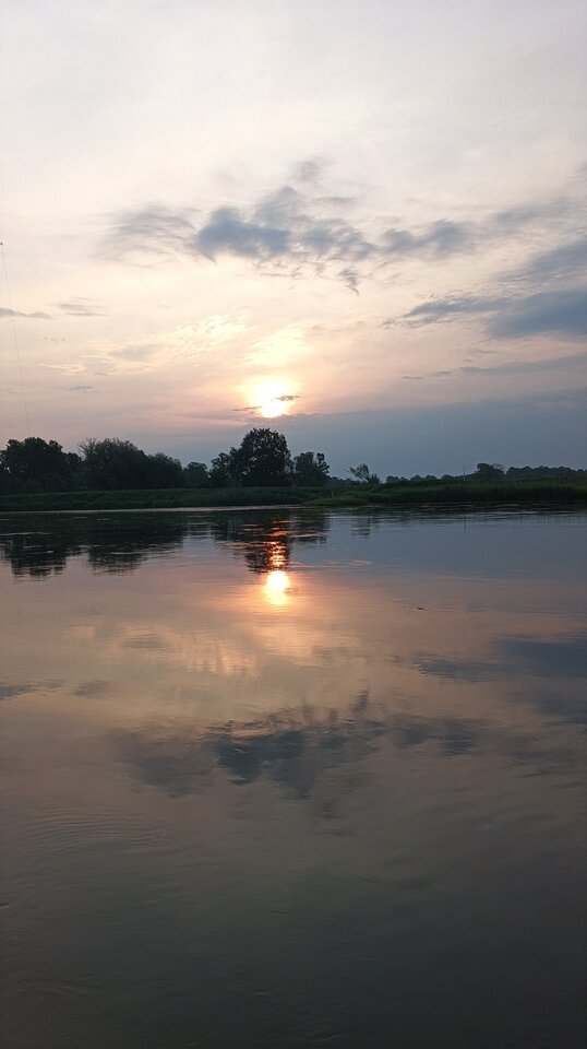 1000000415.jpg - maxsii990