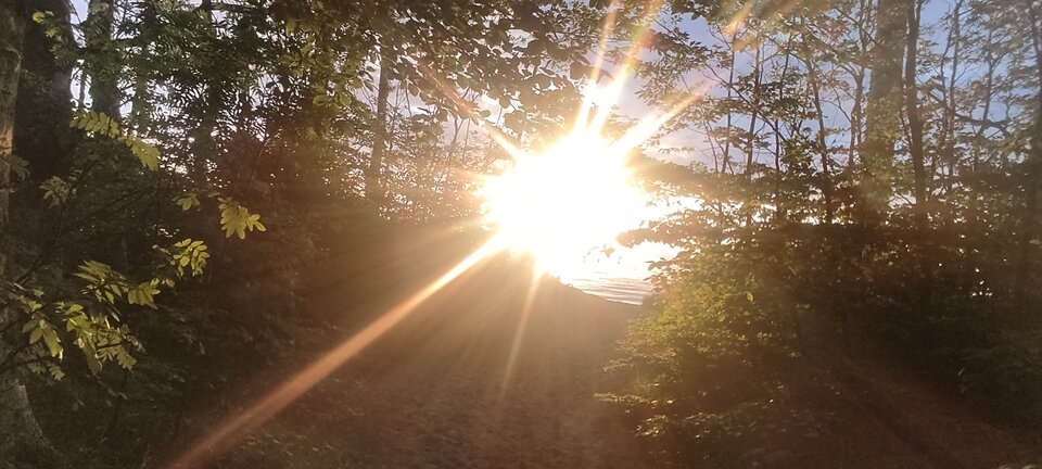 IMG_20250606_203980.jpg - edytkaandrzej