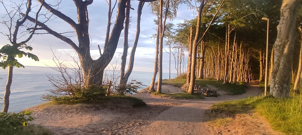 IMG_20250606_204110.jpg - edytkaandrzej