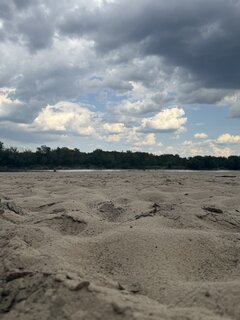 IMG_5220.jpeg