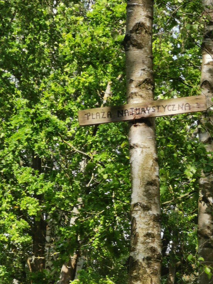 IMG_20250603_153453_1.jpg - Naturystahetero