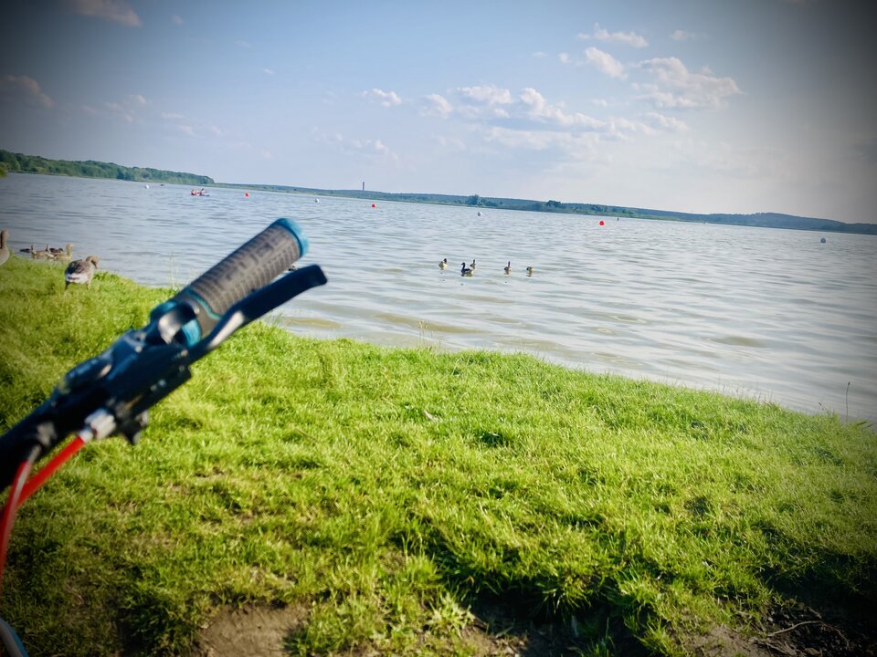 See.jpeg - sebek_411