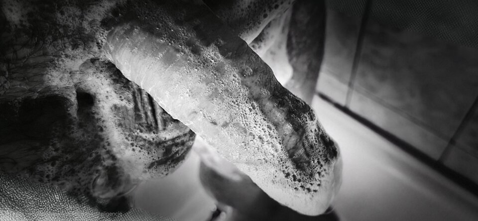 1000006015.jpg - BurbonTaste