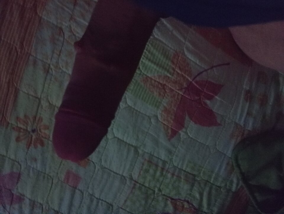 IMG_20250604_040910.jpg - Niunio6969