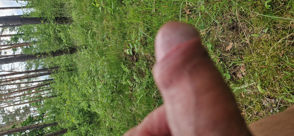 1000010535.jpg - GrzecznyGrudziadz69