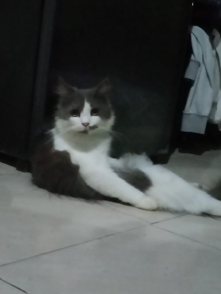 494123213_122149077008432001_3041123124658345712_n.jpg - fajnalaskaobciagarka