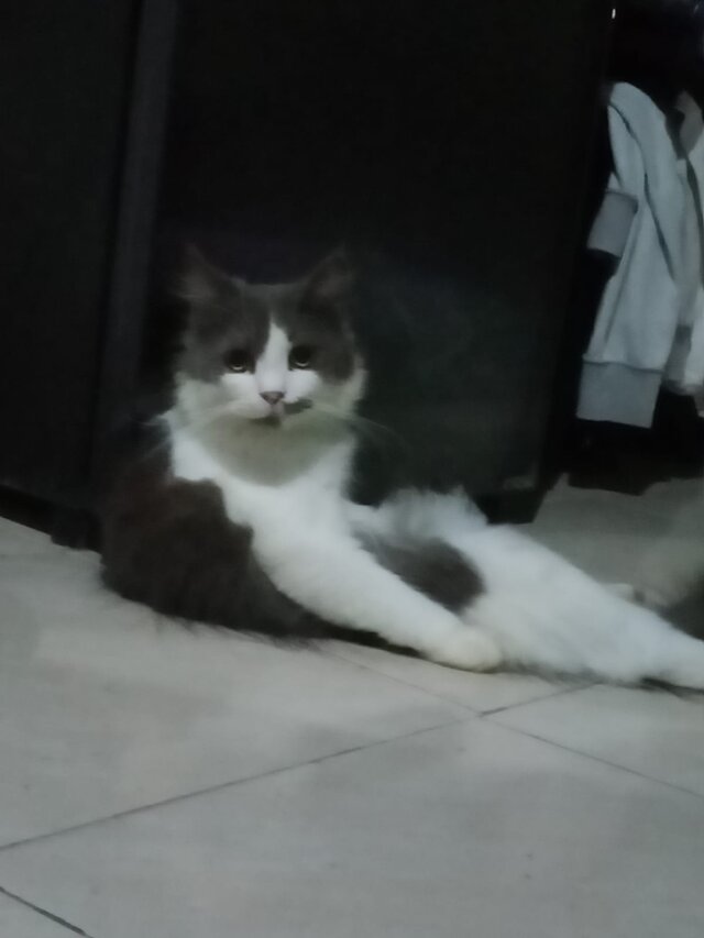 fajnalaskaobciagarka