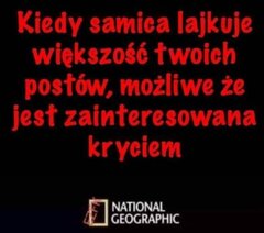 1000042304.jpg
