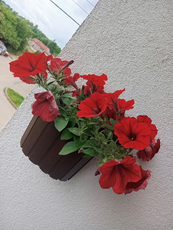 1000001865.jpg - Krzysztof061985