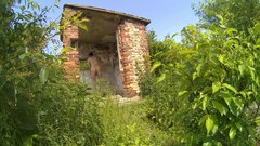 SIEMONIA - ruiny w lesie 20250605.mp4_snapshot_00.24.847.jpg