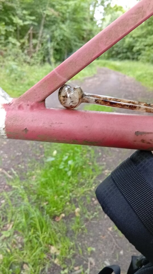 1000006543.jpg - Butraber