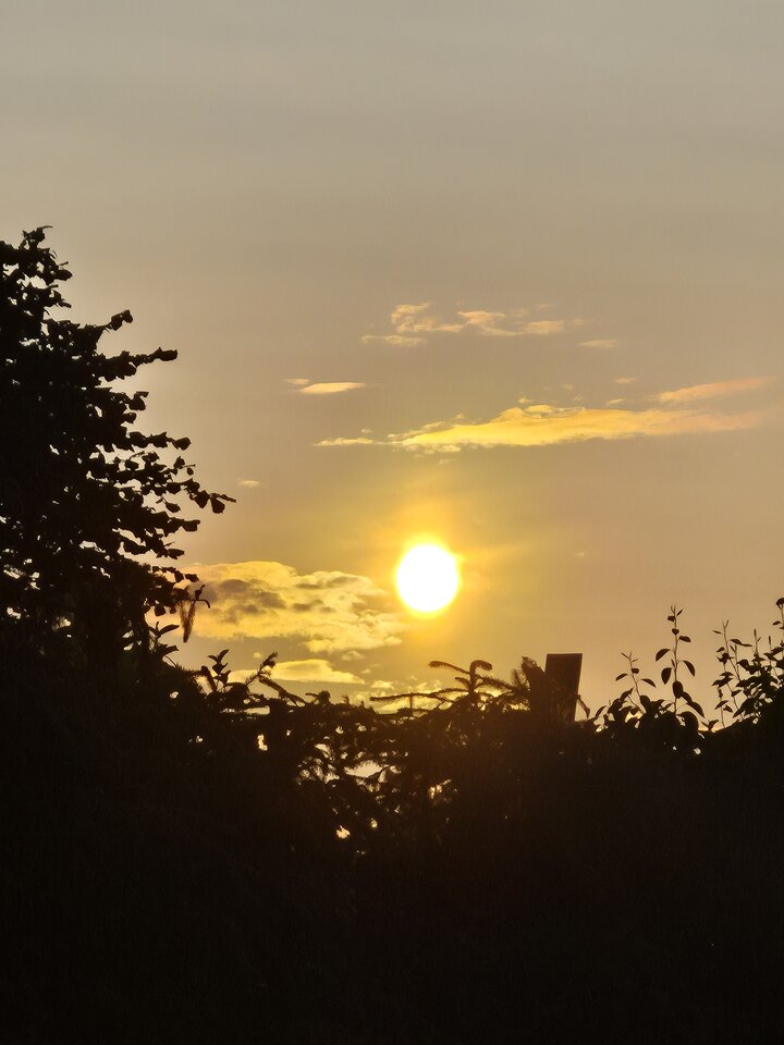 1000035976.jpg - Miniek234