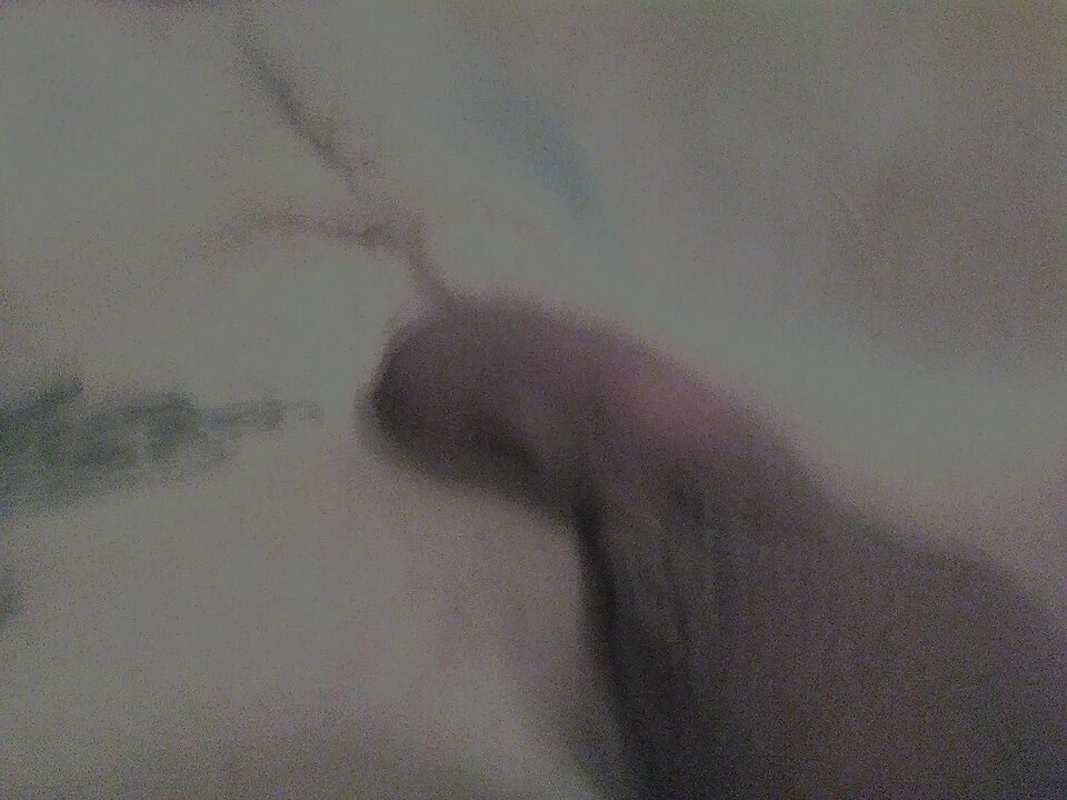 IMG_20241019_210436.jpg - dienniq