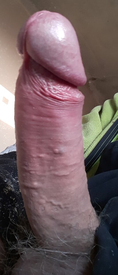 20250606_054041.jpg - 11igor11