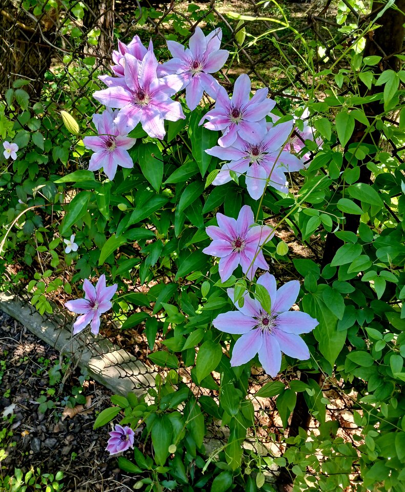 20250520_131637.jpg - Arteusz77