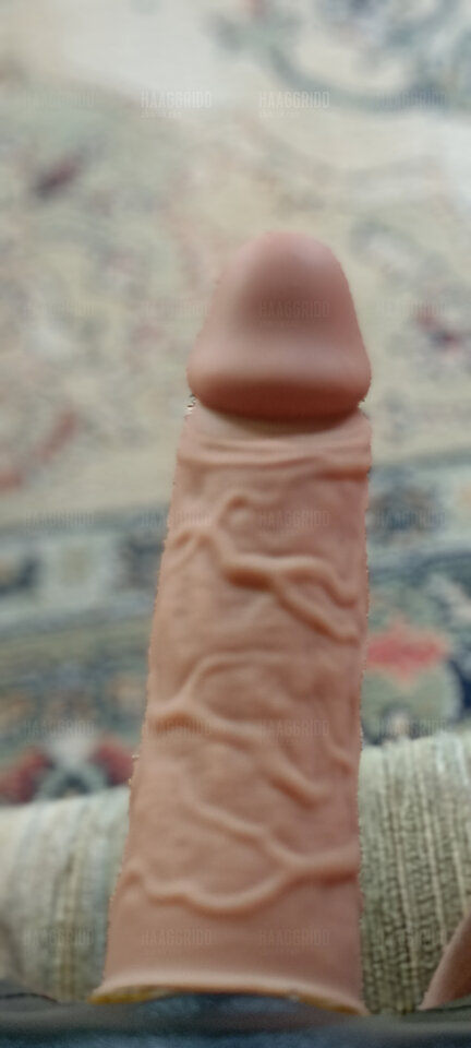 1000015880 - haaggridd