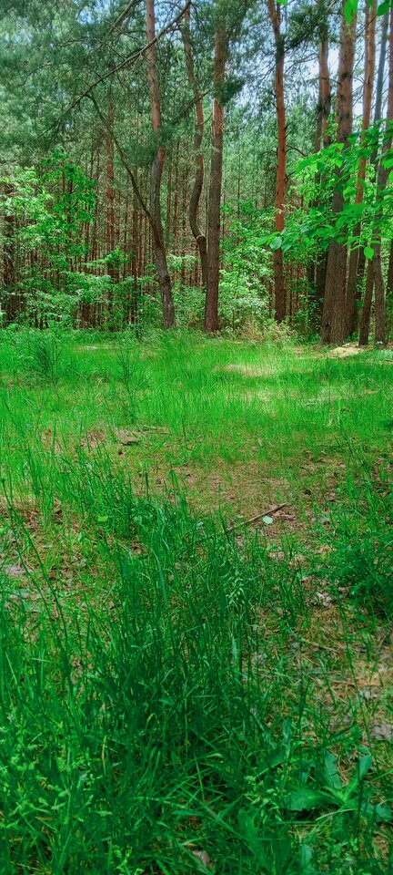 IMG20250606130533.jpg - aagga