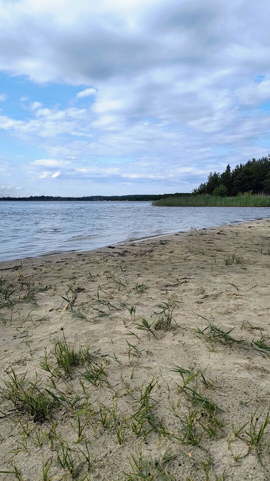 1000013174.jpg - Pitulinscy