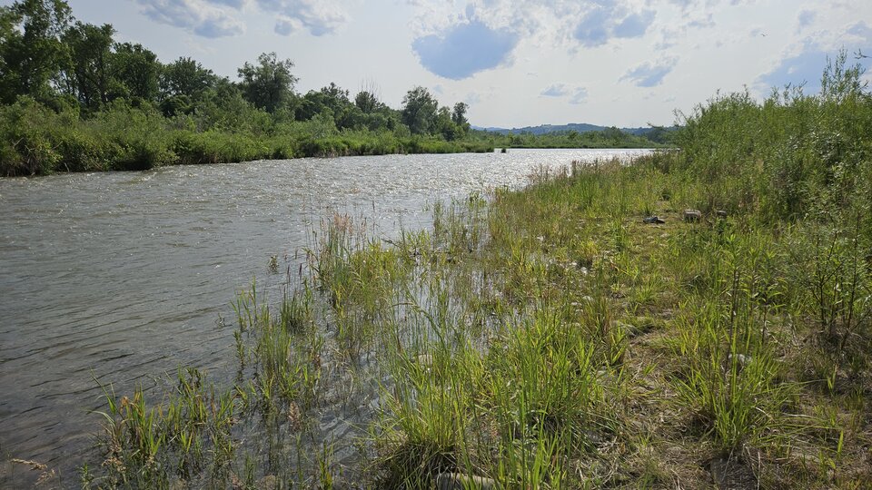 Plaża w Stadłach koło Starego Sącza 👙🩲🏖️ - nowytomas
