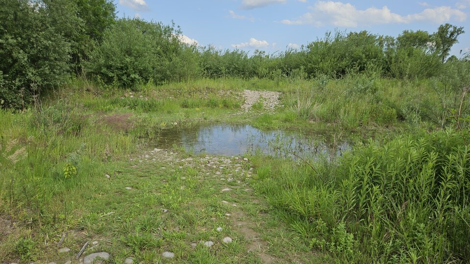 Plaża w Stadłach - droga zalana po opadach deszczu 🏖️🦶 - nowytomas