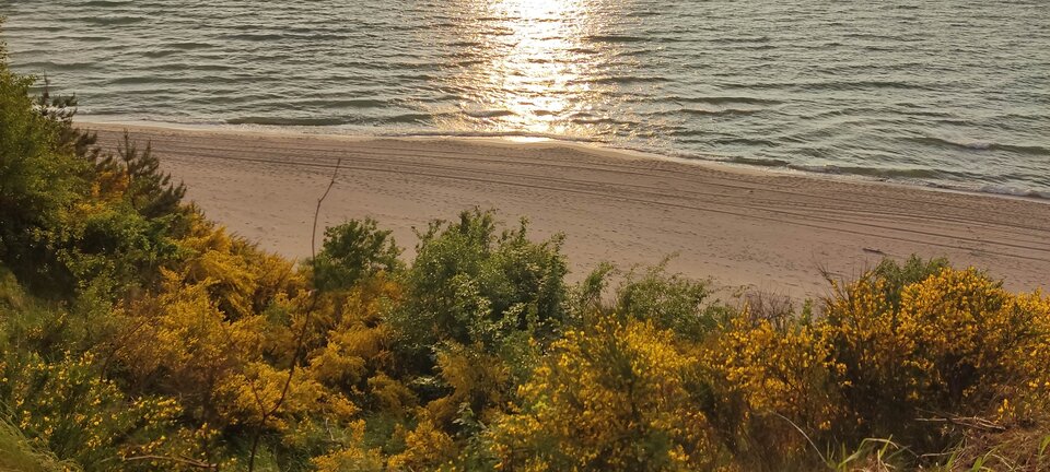 IMG_20250606_193349.jpg - edytkaandrzej